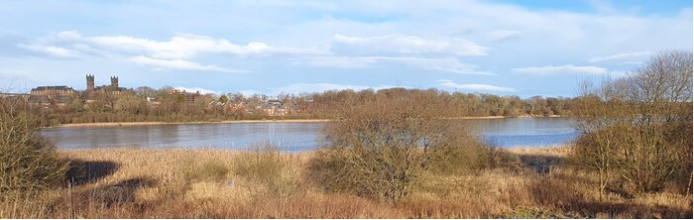 Bishop Loch with towers ar former Gartloch Hospital building behind